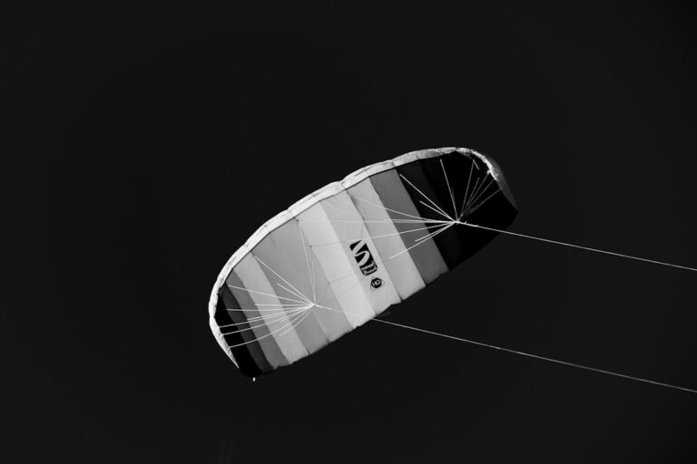 Pure Essential Oil Nebulizer: The Pinnacle of Scenting - monochrome luxury nebulizer